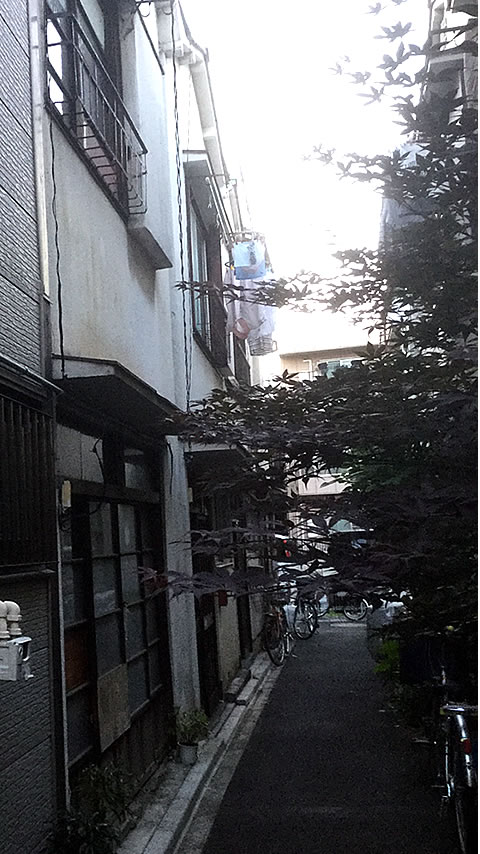 一戸建て・骨組み残し解体
